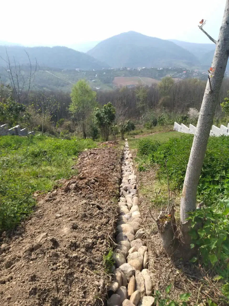 زمین مسکونی تنکابن مازندران