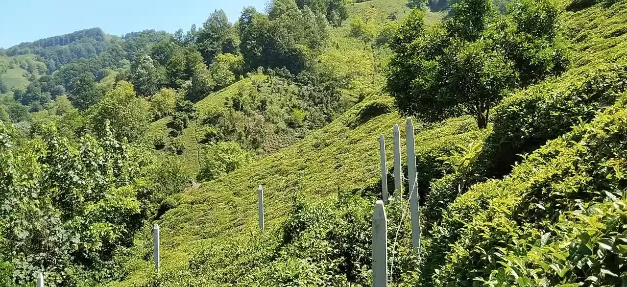 فروش زمین روستای سرچشمه 455 متر