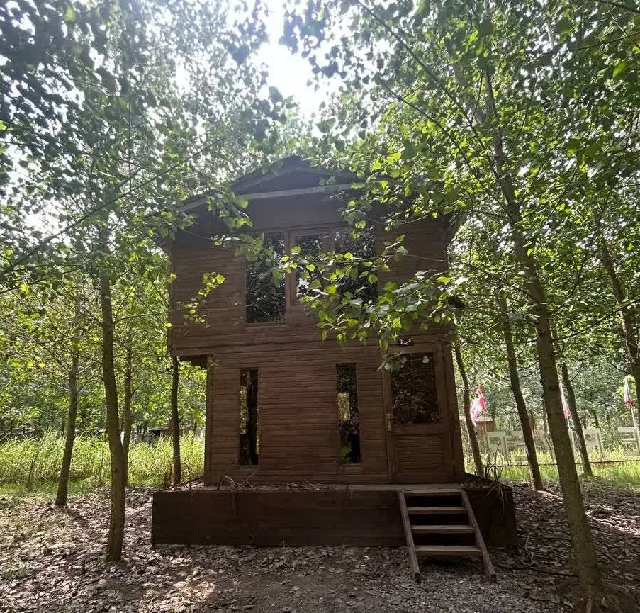 سبکی نو برای زیستن بهتر