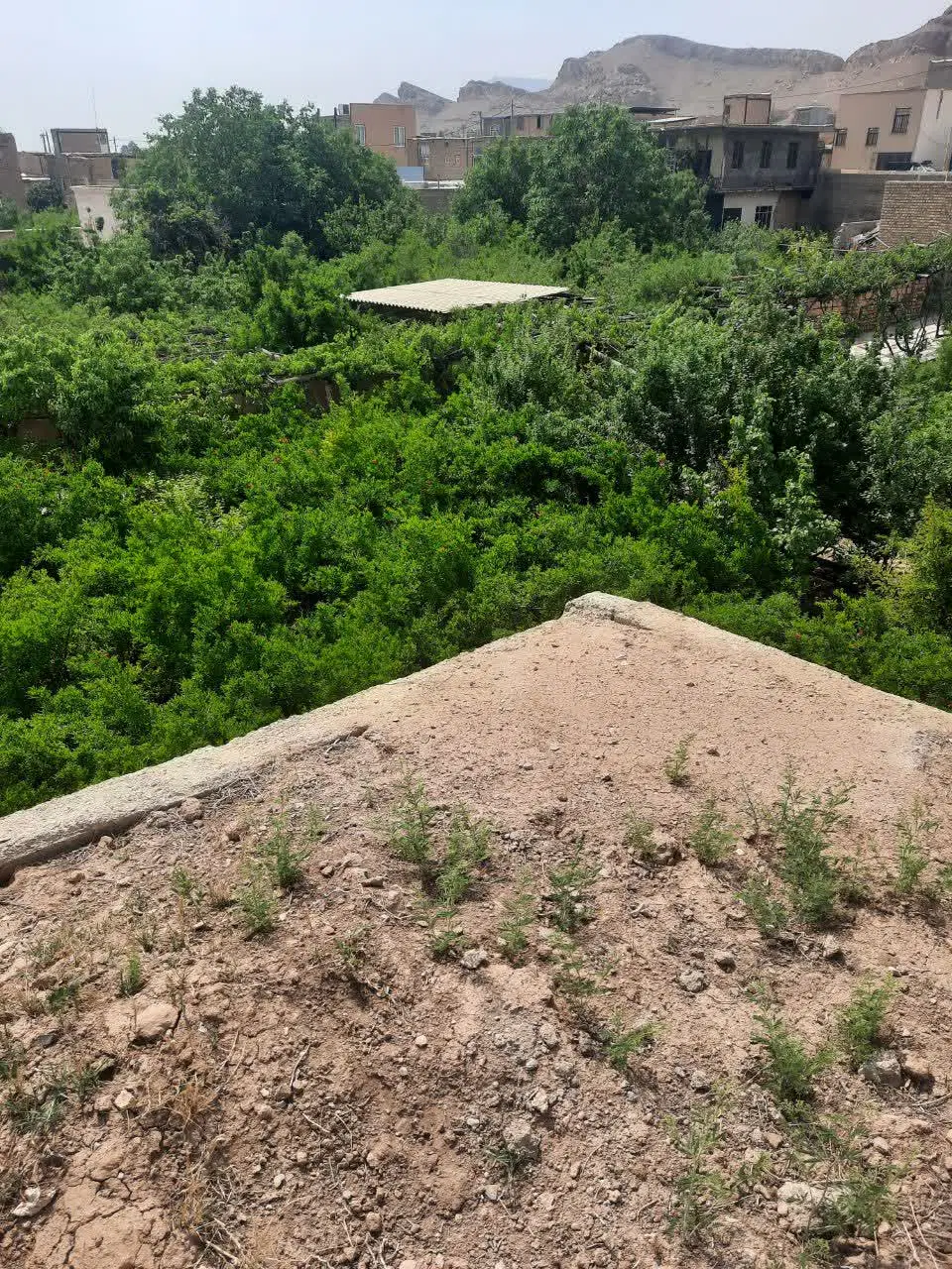 زمین ویلایی فروشی