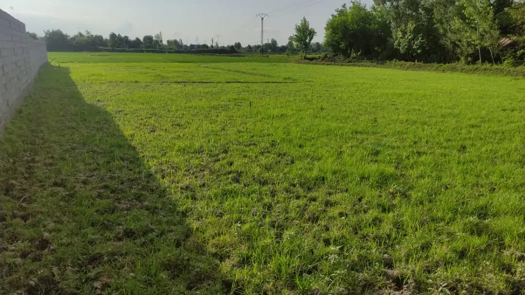 زمین فروشی ابتدایی جاده سنگر