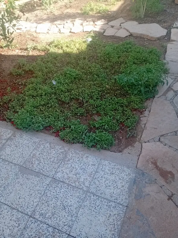 فروش زمین