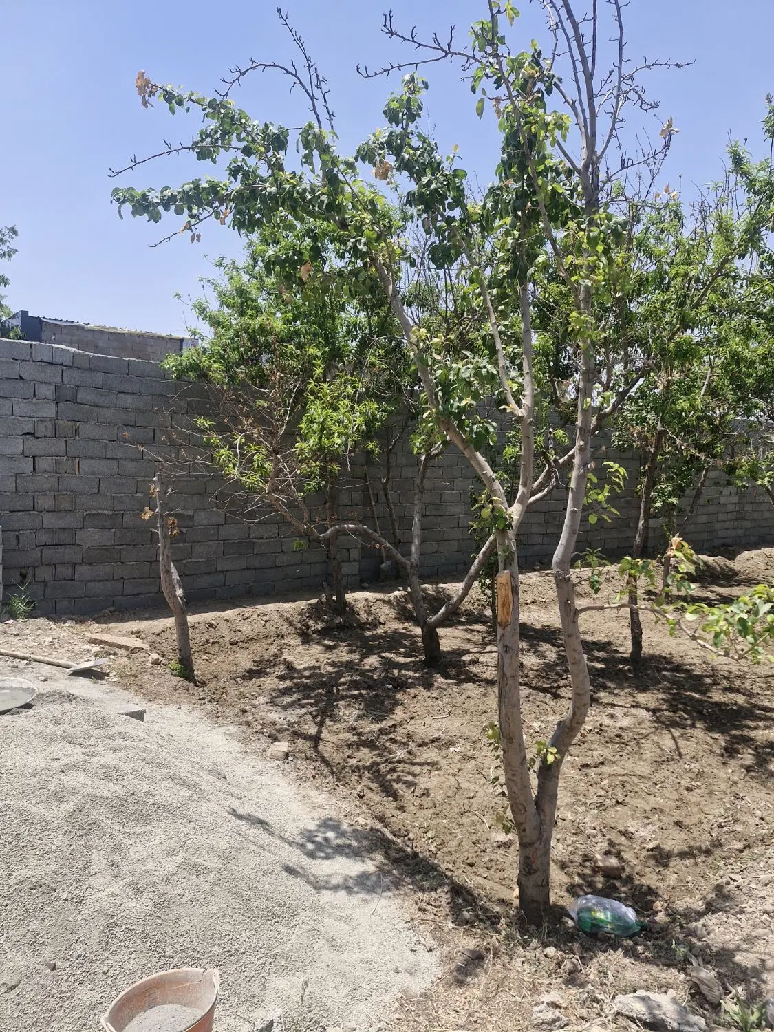 باغچه چهاردیوارای سندتکبرگ بر اصلی_شهریار