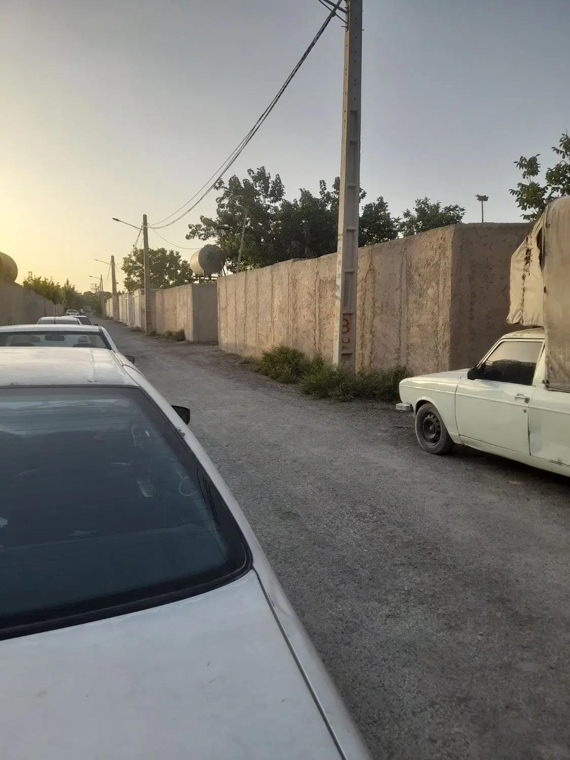 باغچه به متراژ ۲۸۰ متر