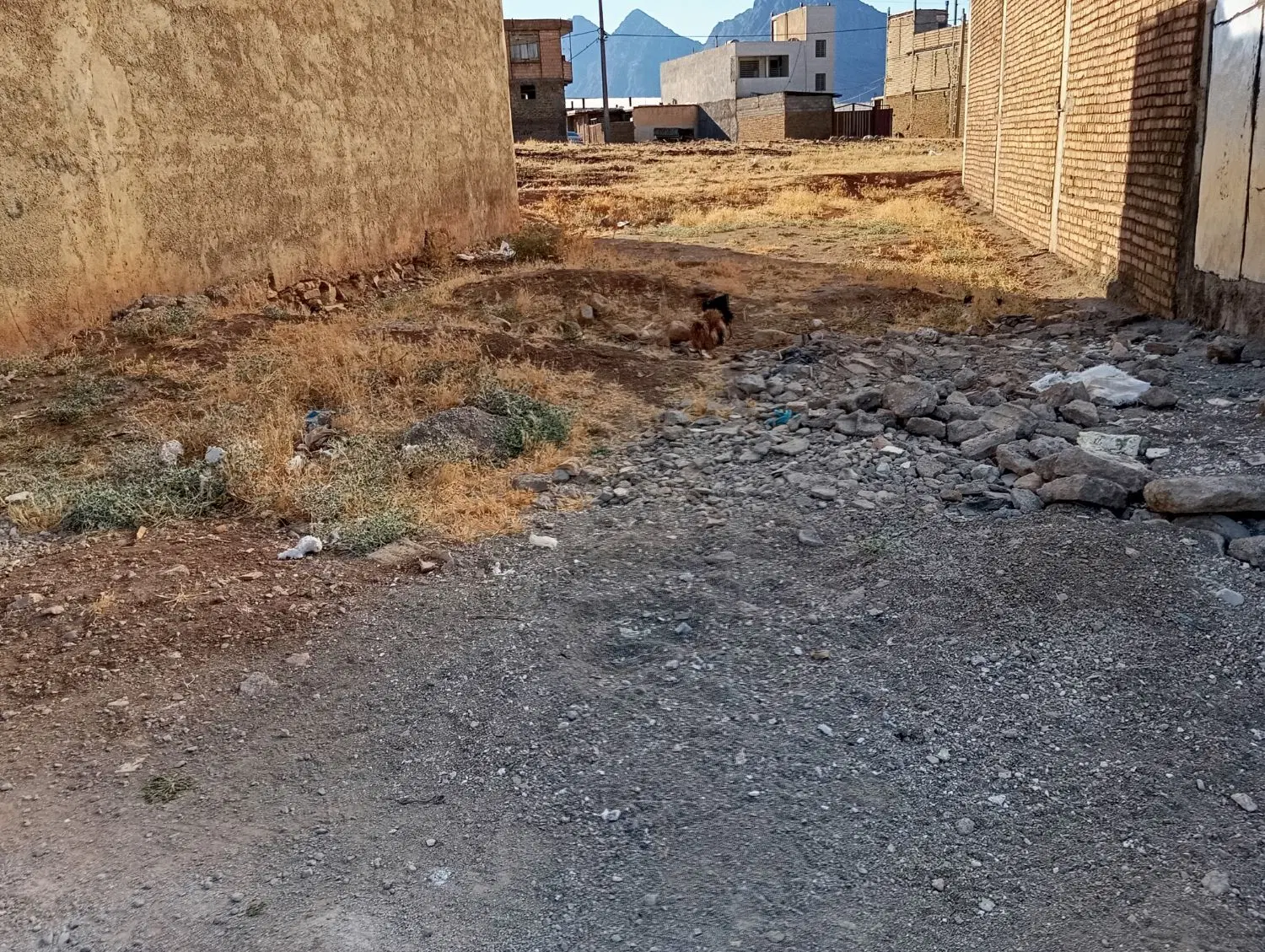 زمین مسکونی