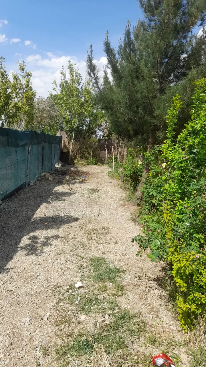 باغچه