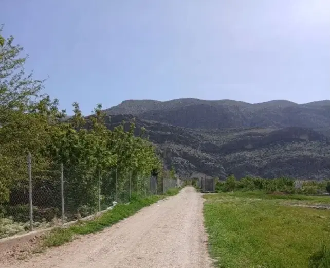 زمین باغشهری انجیره