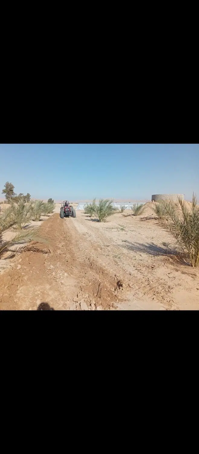 باغ ثمری کنار پیوندی ونخل گمارون