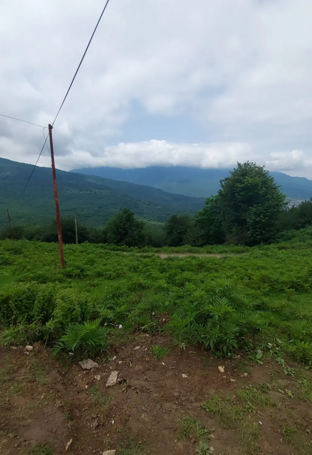 زمین ییلاقی در سنگ چال