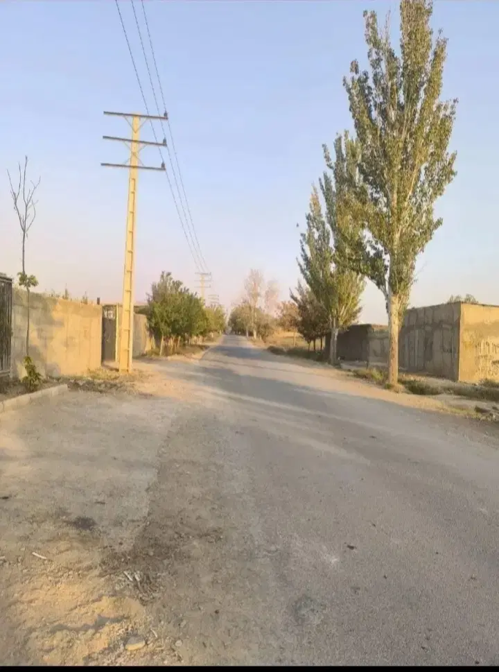 سرمایه گذار
