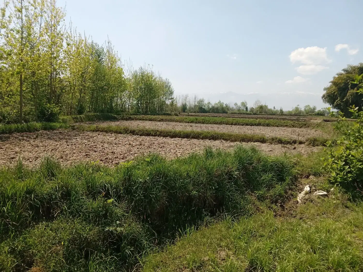 زمین مسکونی