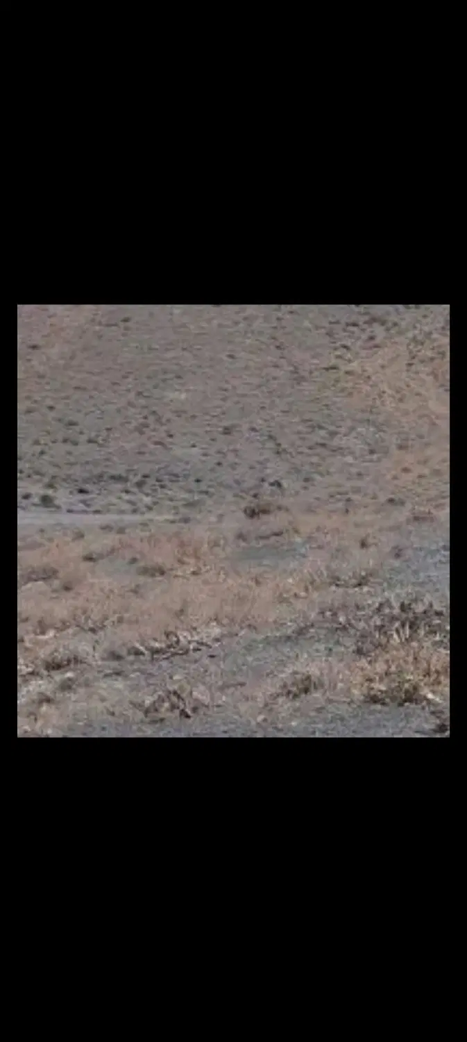زمین سفیدک