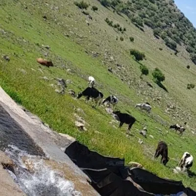 فروش زمین کشاورزی
