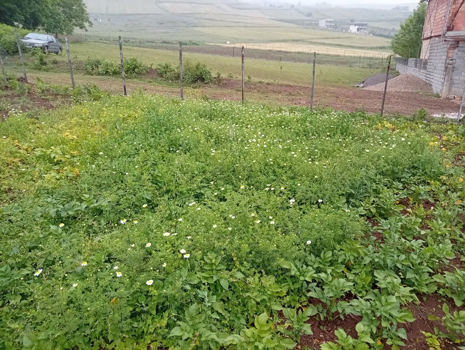 فروش زمین