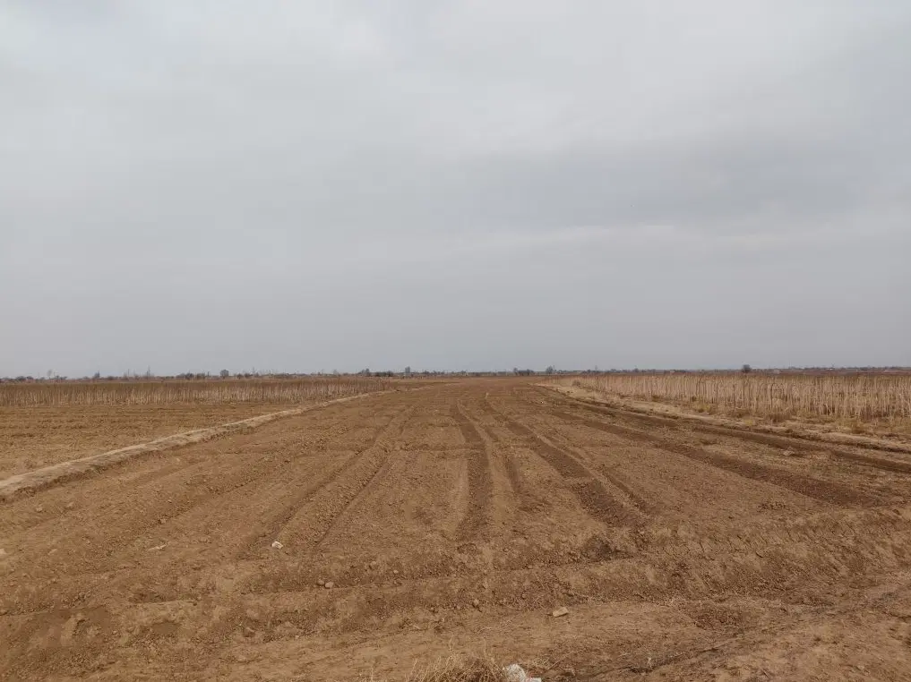 زمین باغی در شهرستانک