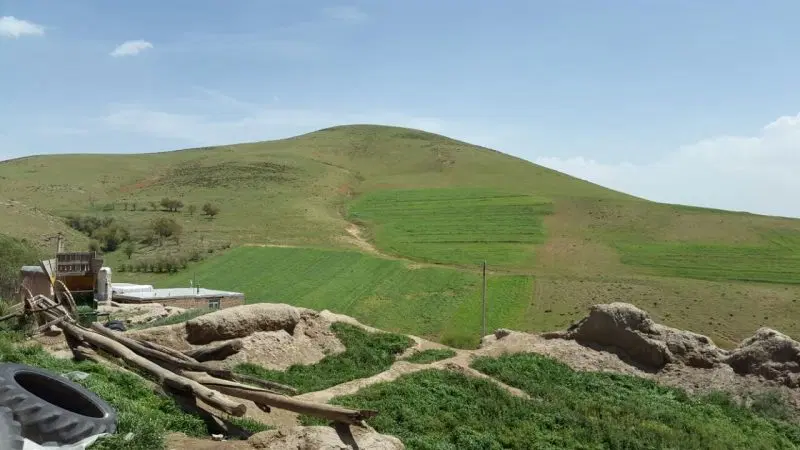 فروش باغ و زمین کشاورزی( روستای یاسرآباد)