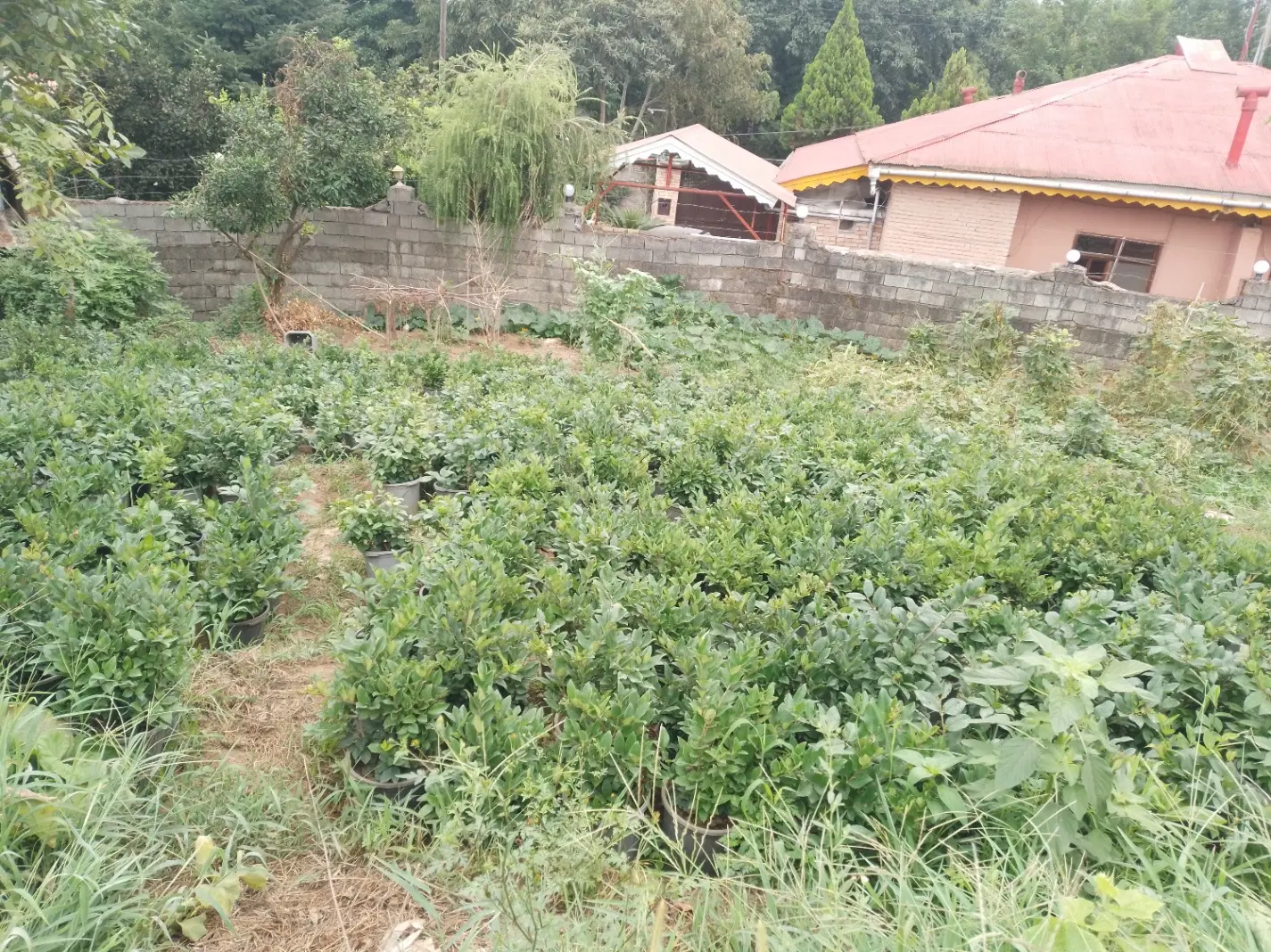 فروش زمین مسکونی