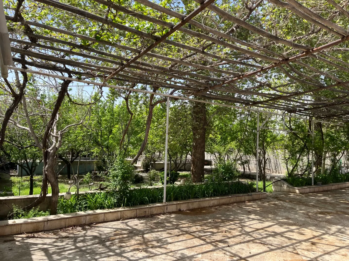 باغ ویلا در کورده