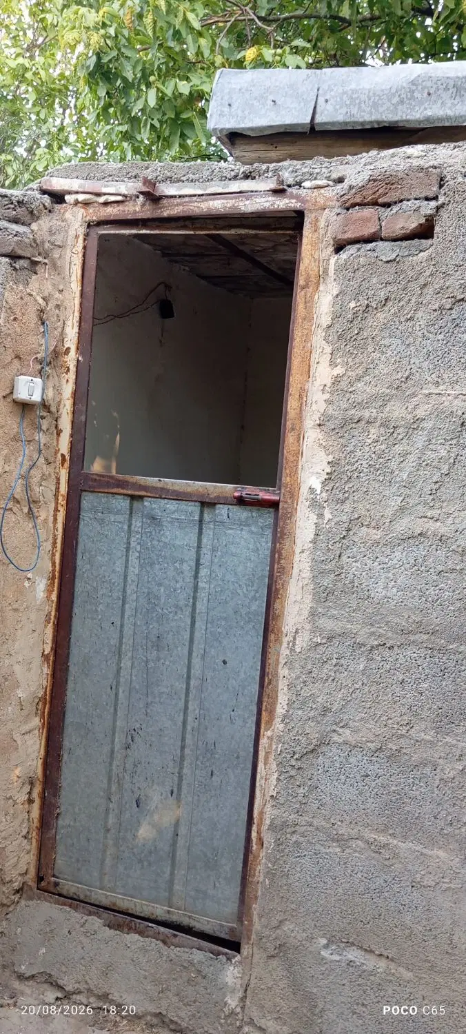باغ میوه