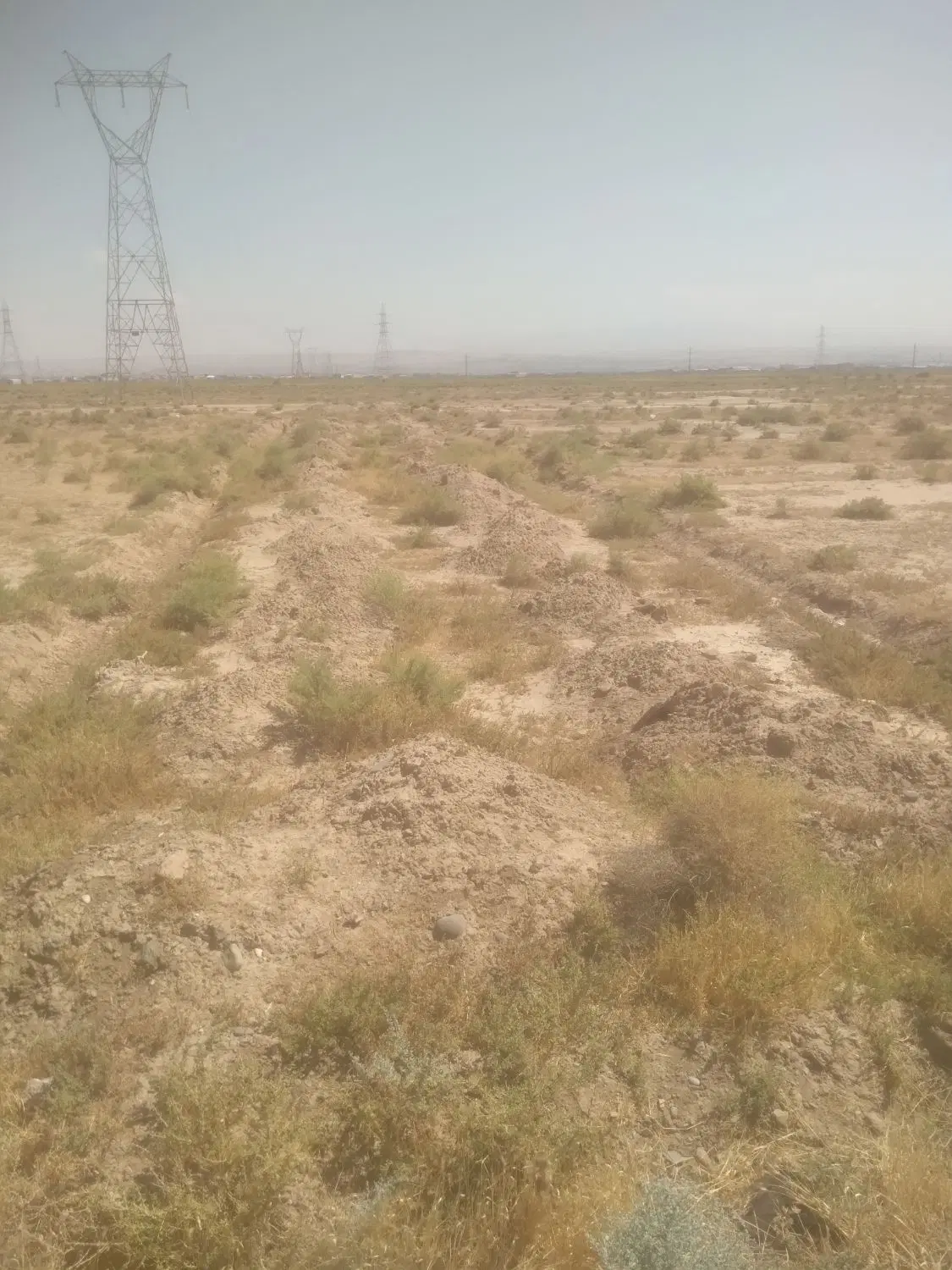 زمین کارگاهی یا گل خانه یا گاو داری به متراز۴۴۰متر
