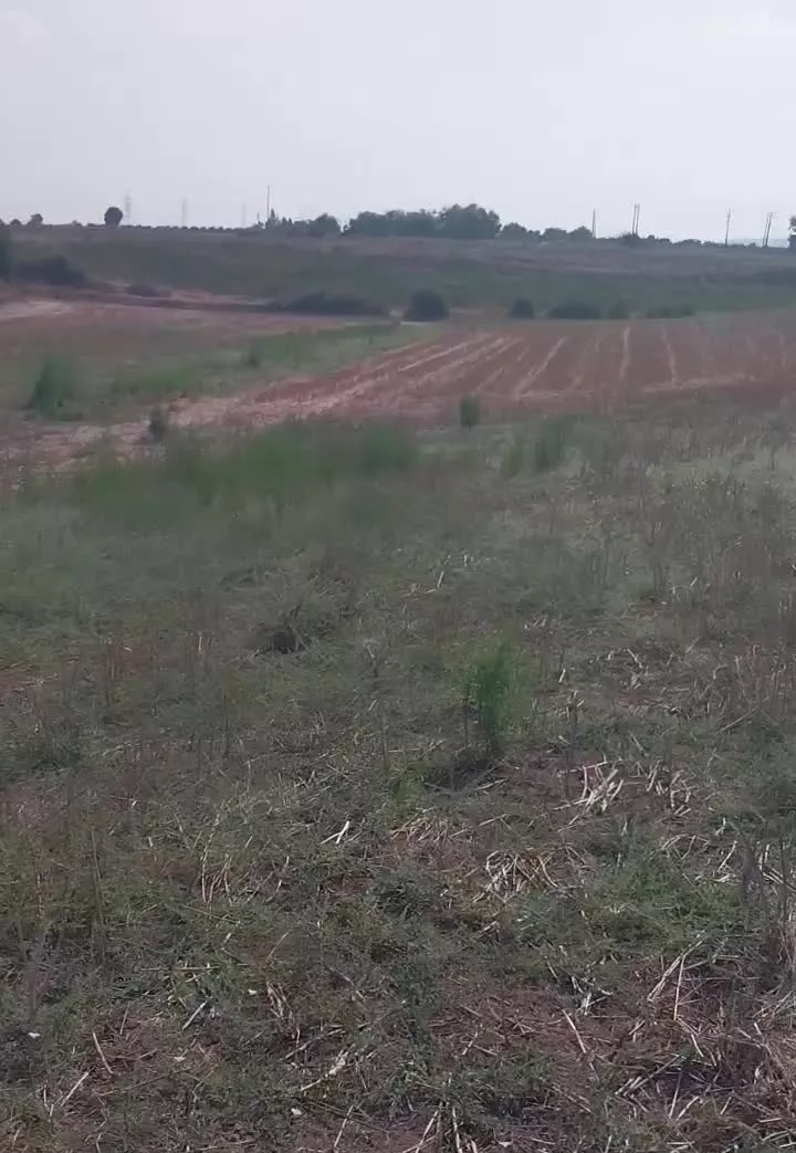 فروش قطعه ۲ زمین زراعتی در روستای کلاجان قاجار