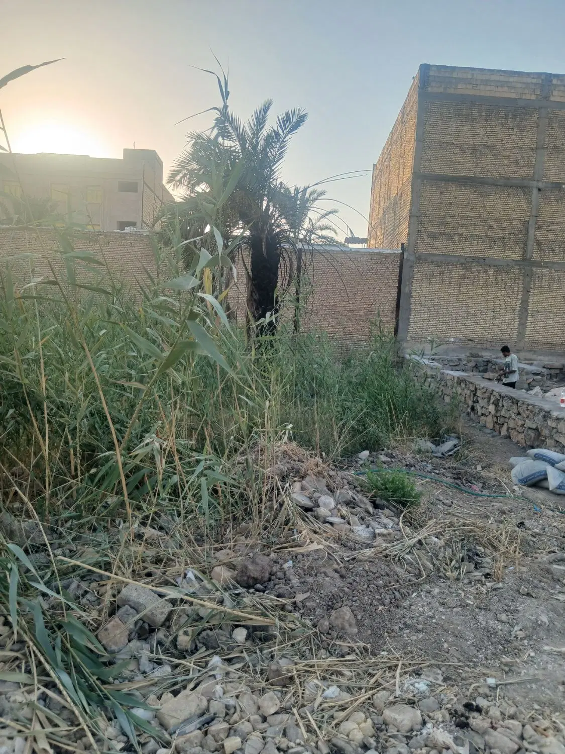زمین برای فروش در بهمنشیر