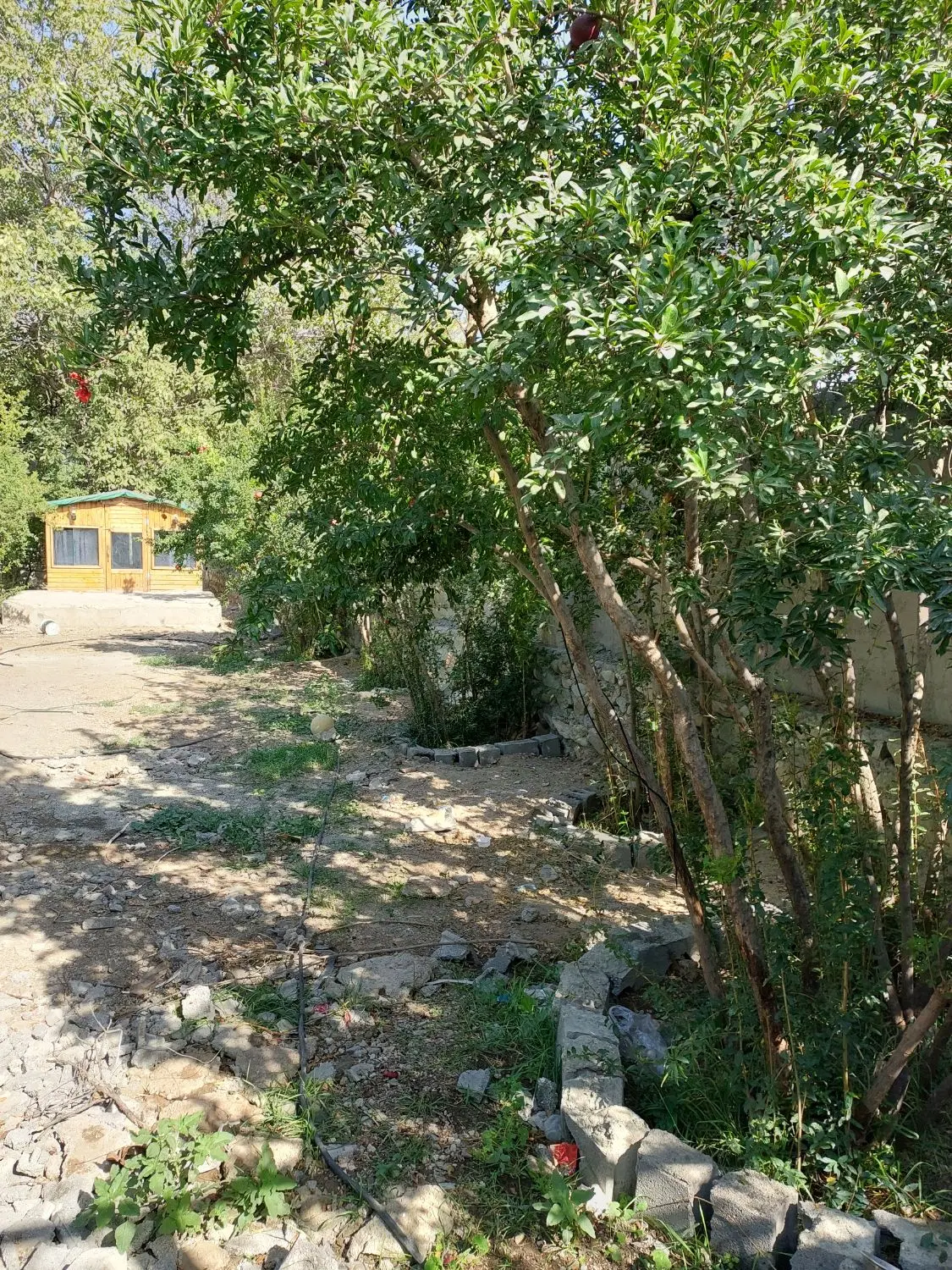 باغچه فروشی