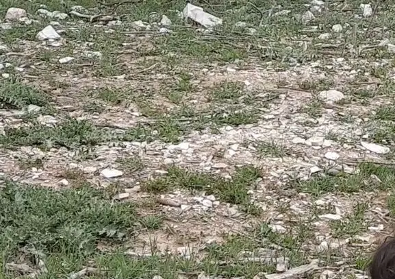 ۱۰۰ متر زمین هفت چشمه