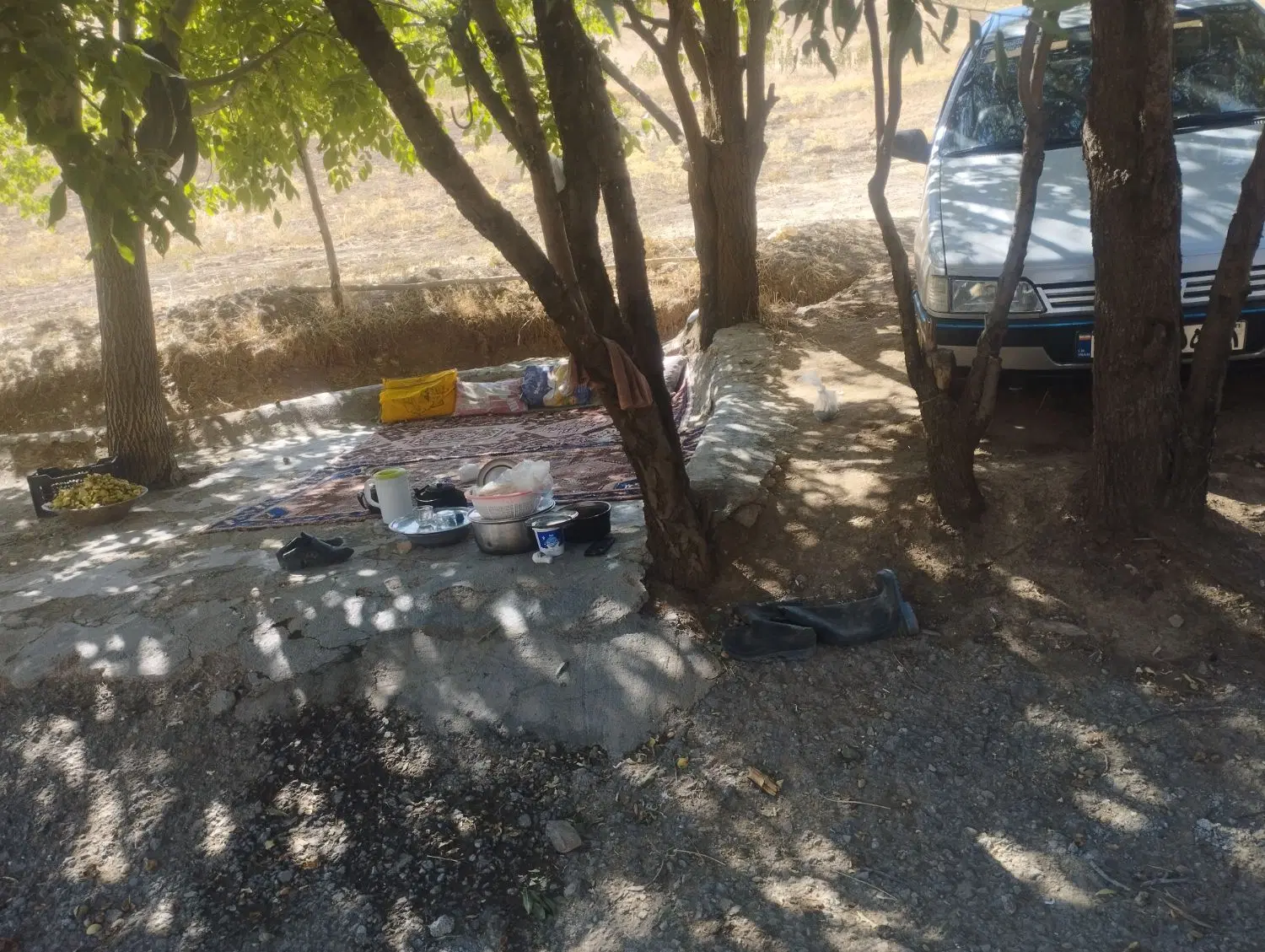 زمین کشاورزی