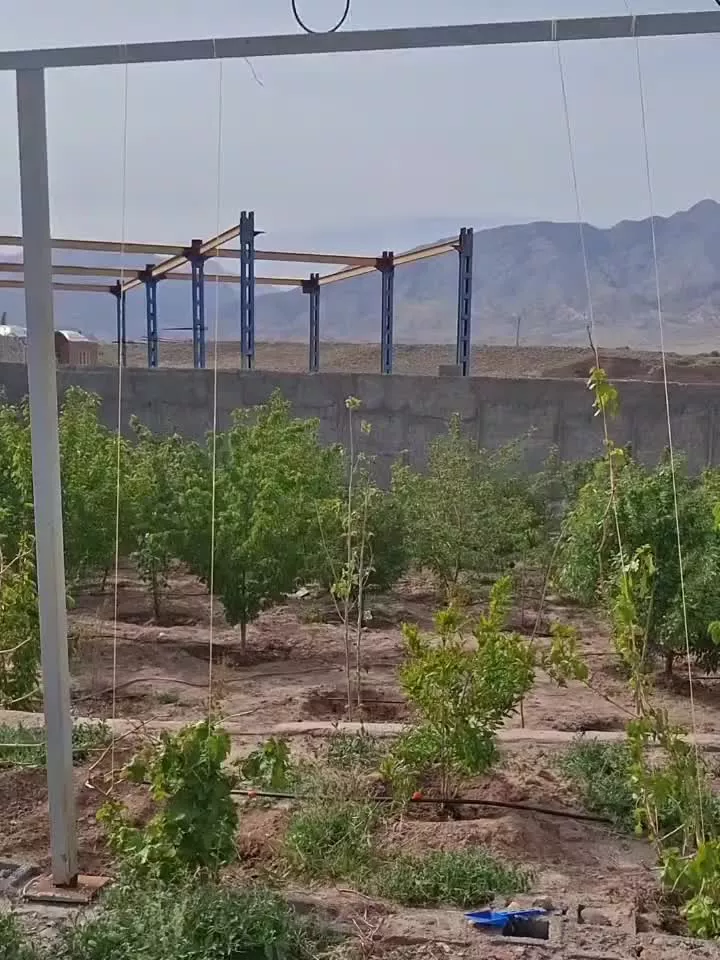 ویلا کوهپایه