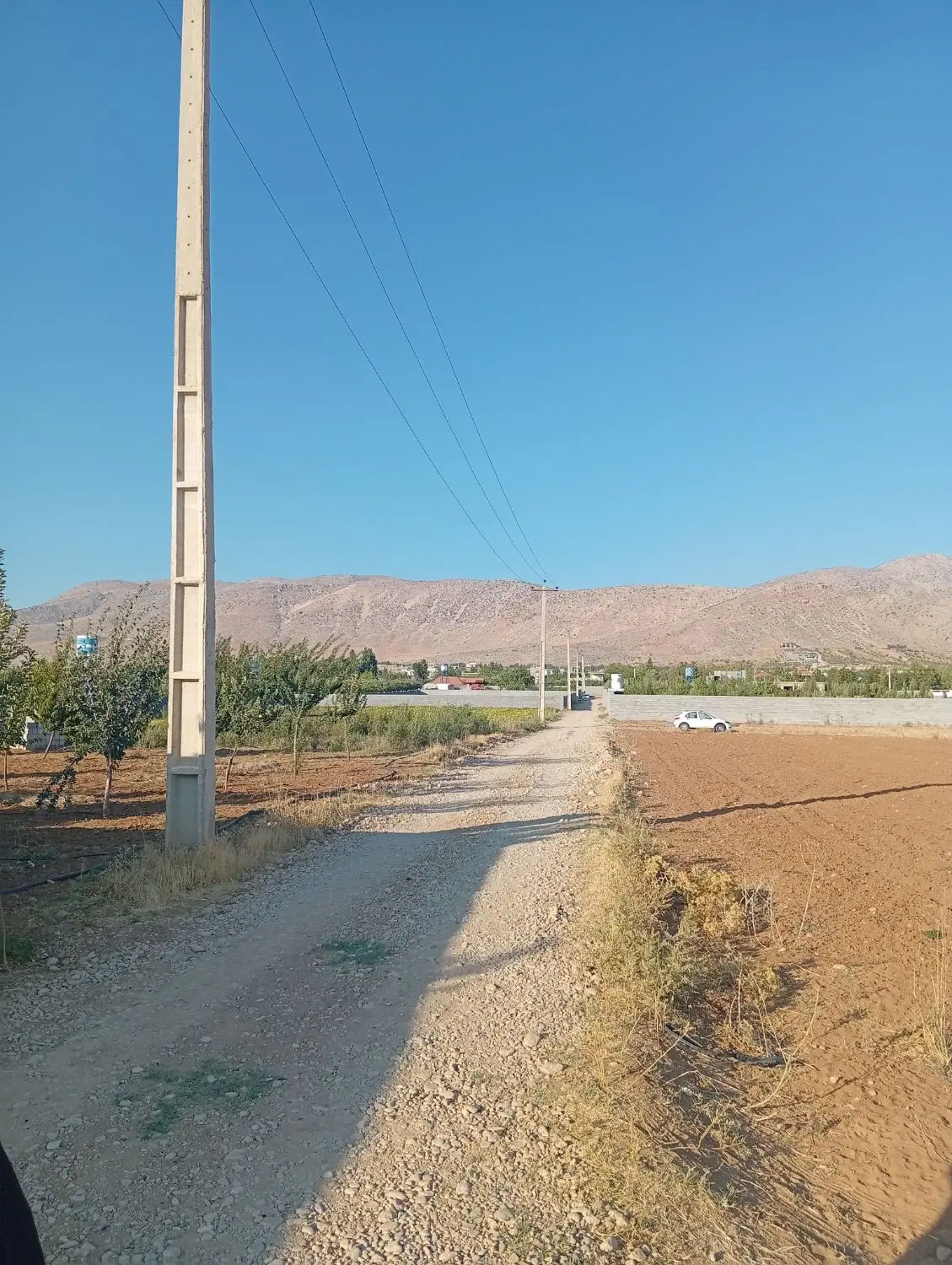 زمین سپیدان برد اباد