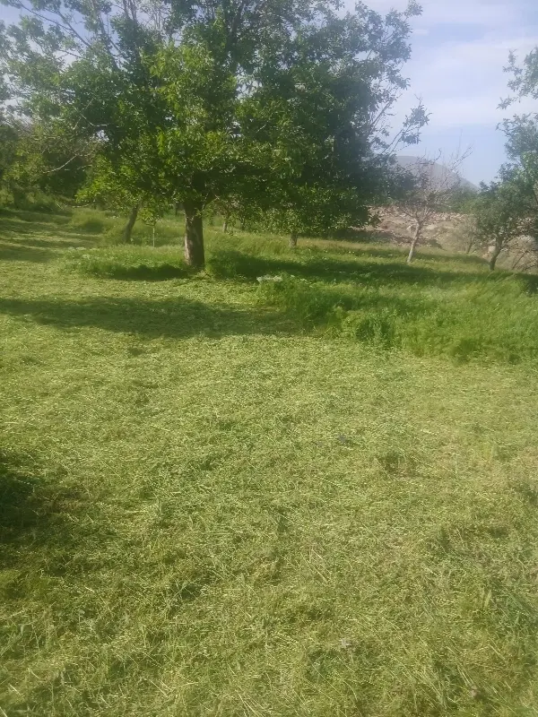 زمینی در اراضی قشلاق