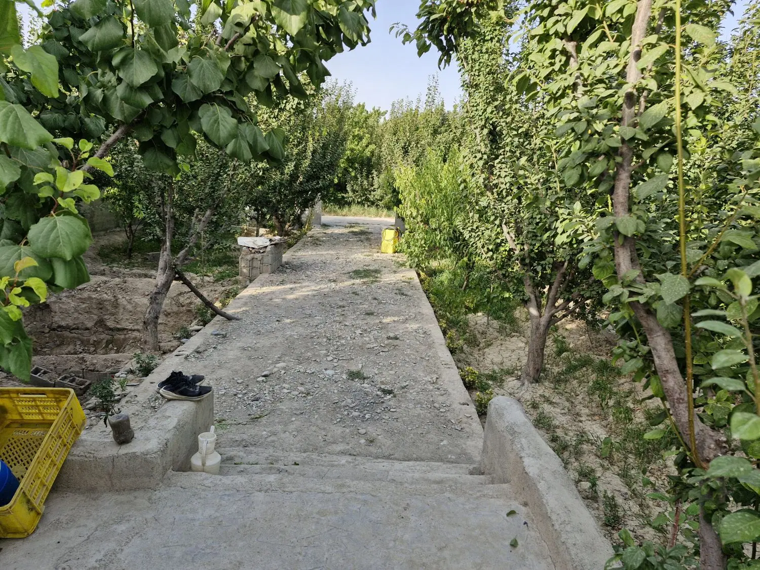 ۳۰۰ متر باغ در ملارد قجر آباد