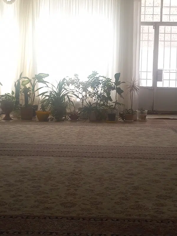 منزل ویلایی واقع در انقلا ب