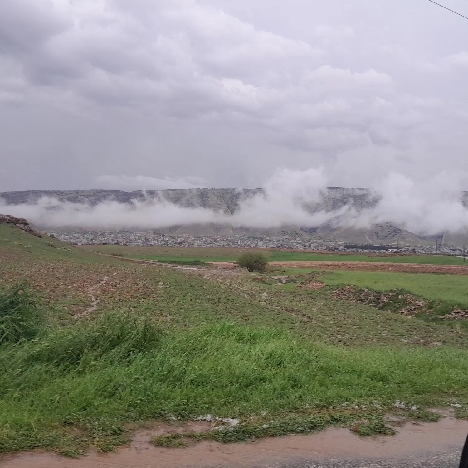 زمین پاونار ۱۵۰متر