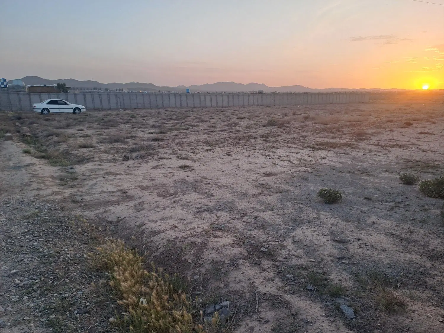 زمین باغچه و باغ