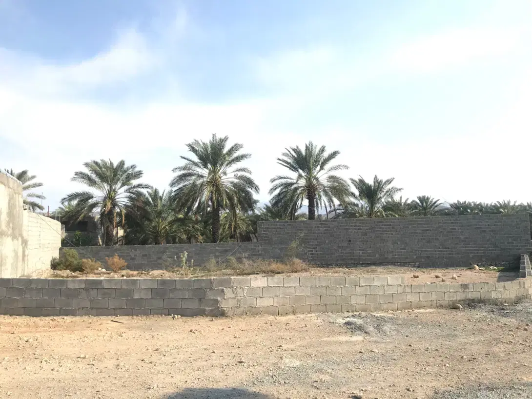 فروش زمین ۵۰۶ متری  سند دار حاجی آباد ( علی آباد )