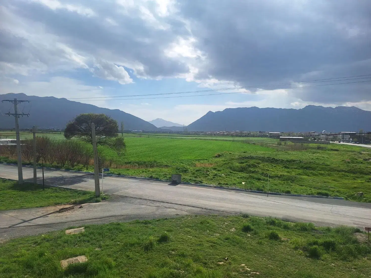 اجاره و کشت لوبیا  مشارکتی . تیپ کاری . با تخصص