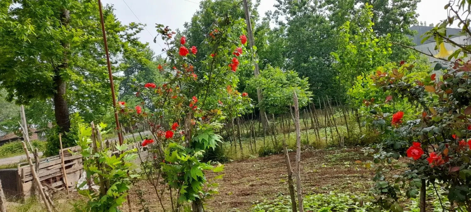 زمین فروشی تجاری مسکونی