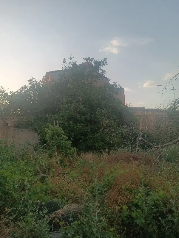 مغازه تجاری دائم خیابان سی متری