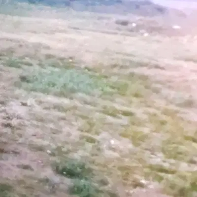 زمین به متراژ ۲۰۸ متر