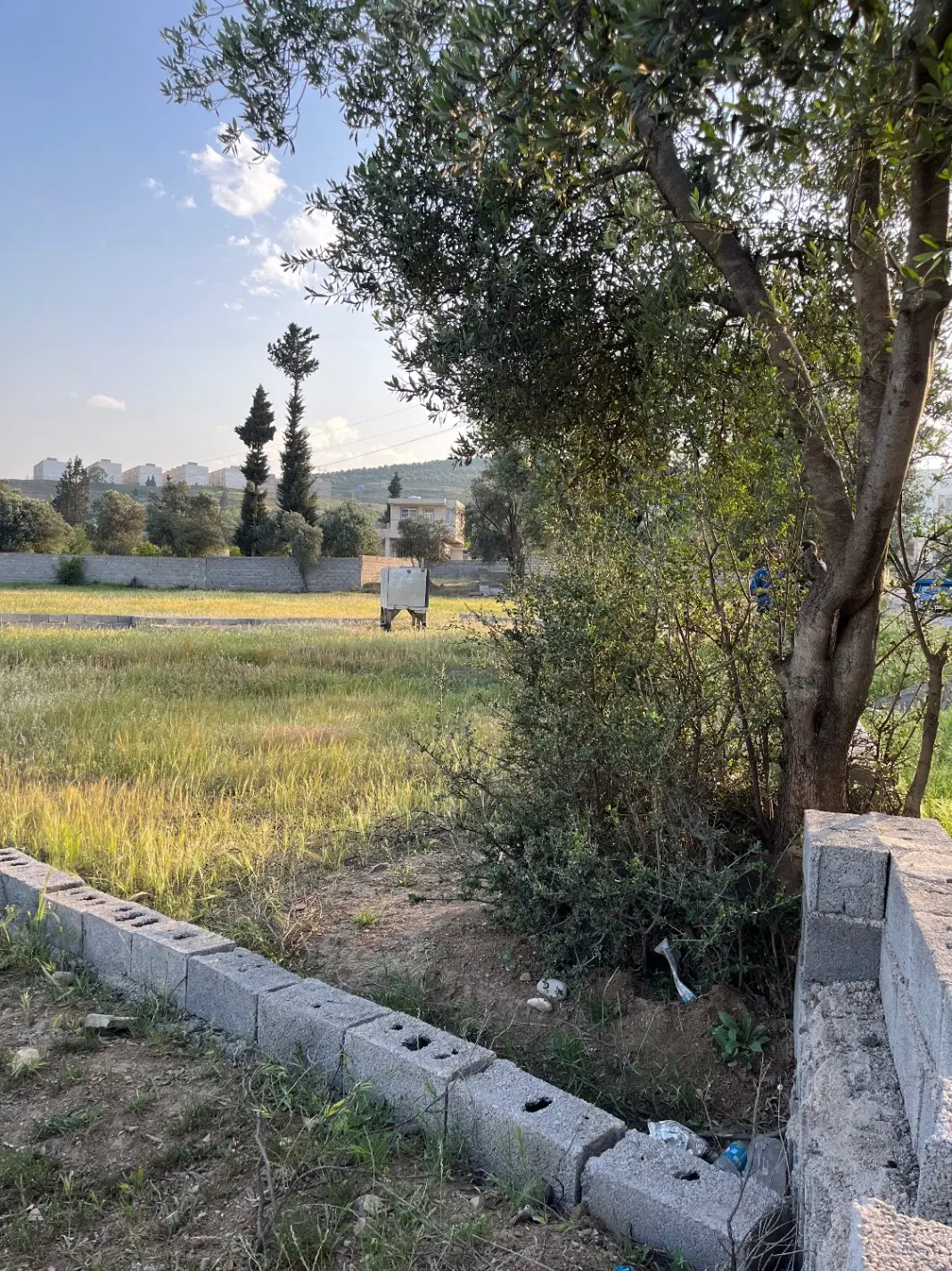 ملک سند دار رستم آباد