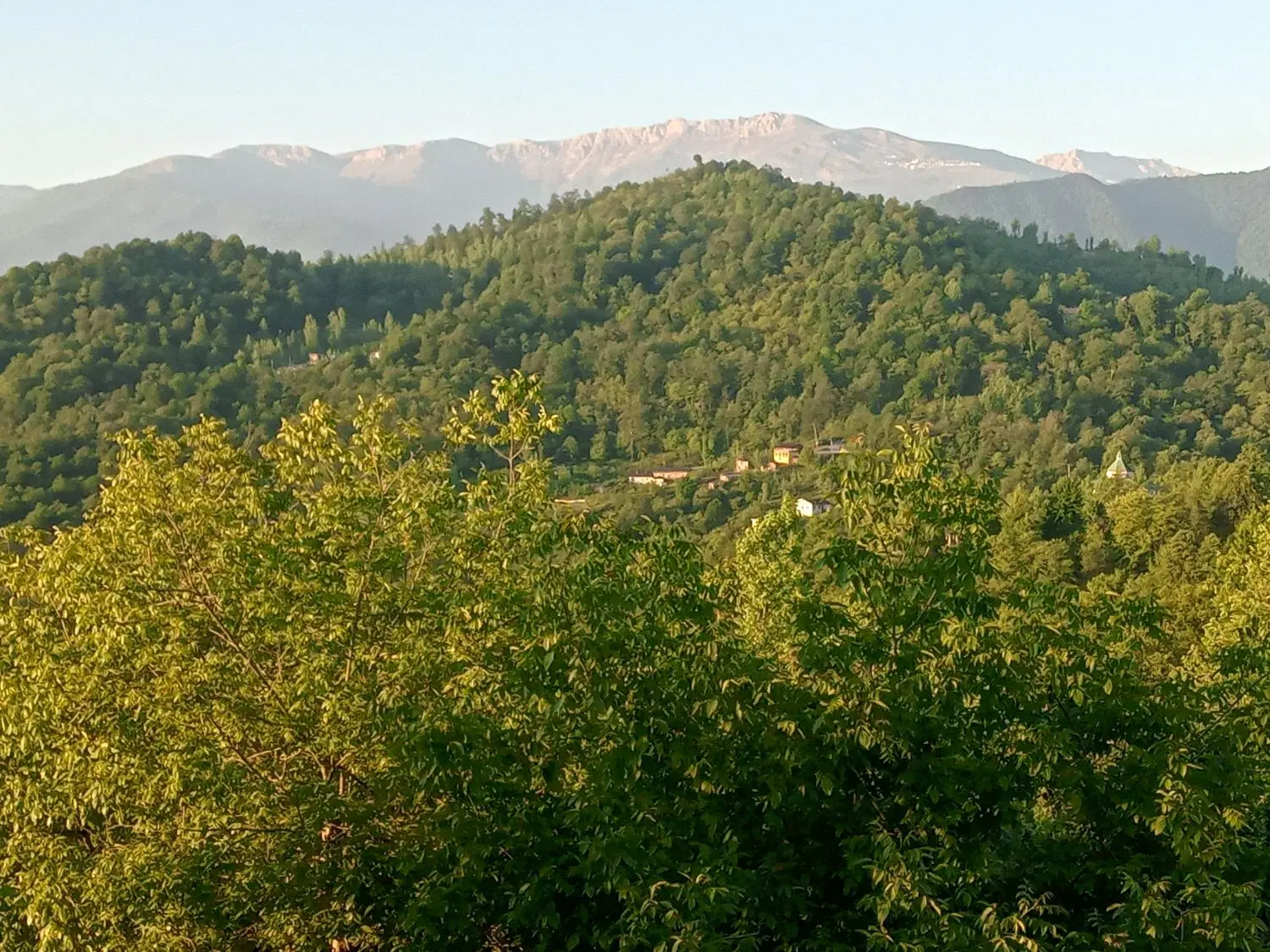فروش زمین مسکونی