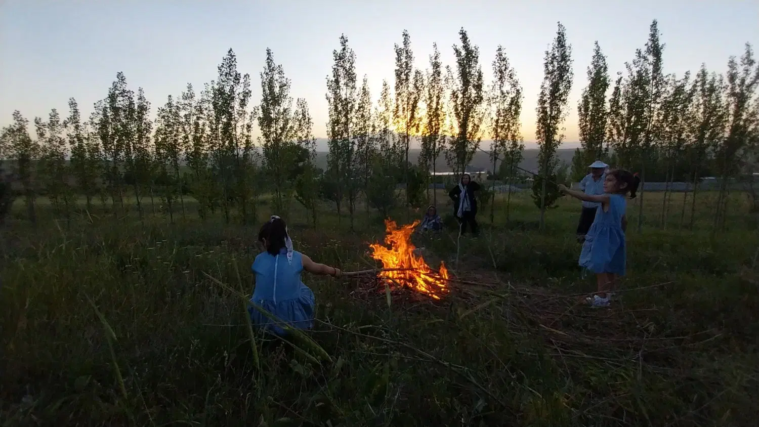 زمین در محدوده توریستی الماس