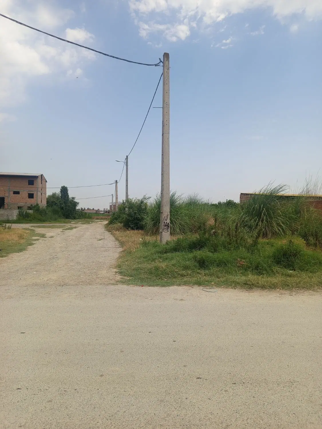 زمین دو نبش   متراژ 350 گلبرگ 37