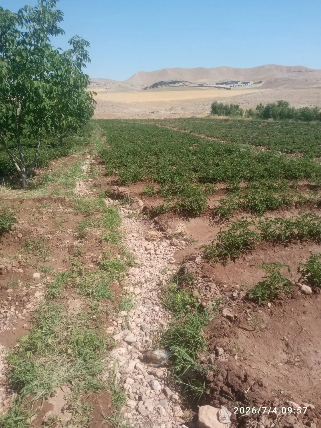 فروش زمین