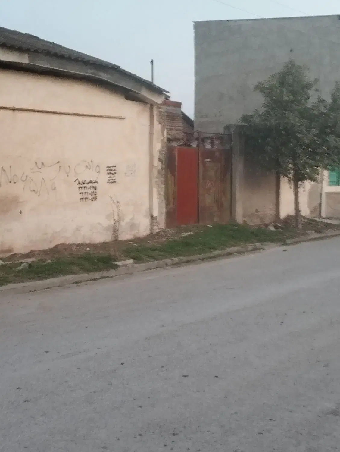 زمین یساقی