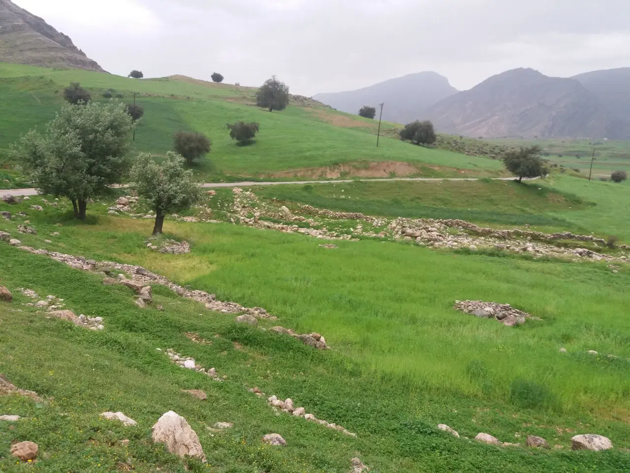 زمین