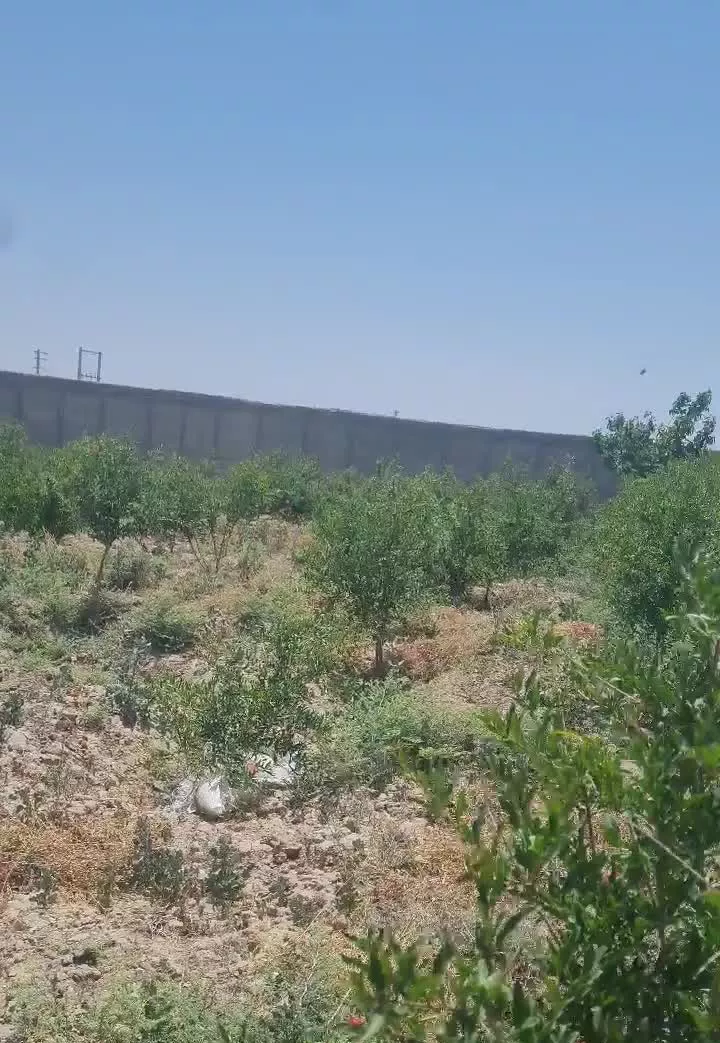 باغ چهاردیواری قدمت دار