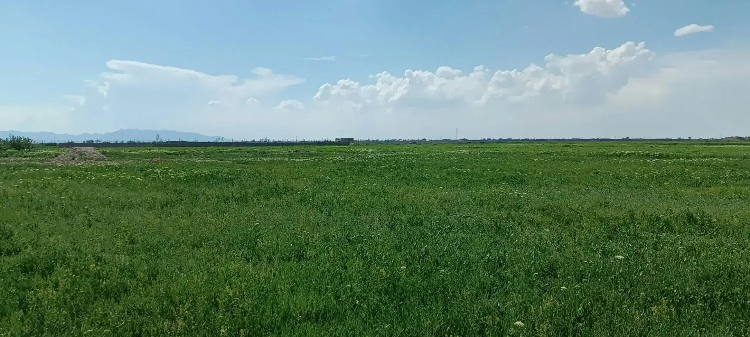 زمین در ایلخچی